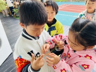 IMG_7455(20251103-090401)